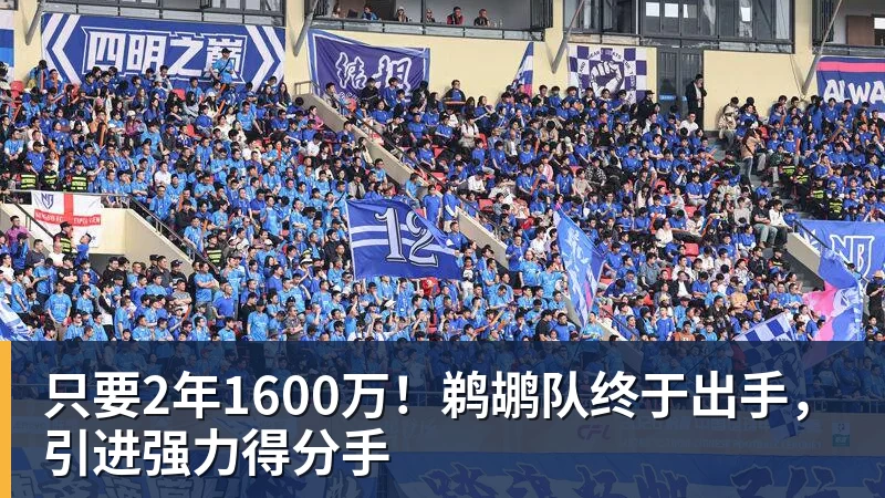篮球下注只要2年1600万！鹈鹕队终于出手，引进强力得分手